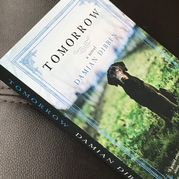 NEW Tomorrow A Novel by Damien Dibben Paperback Book - Picture 1 of 3